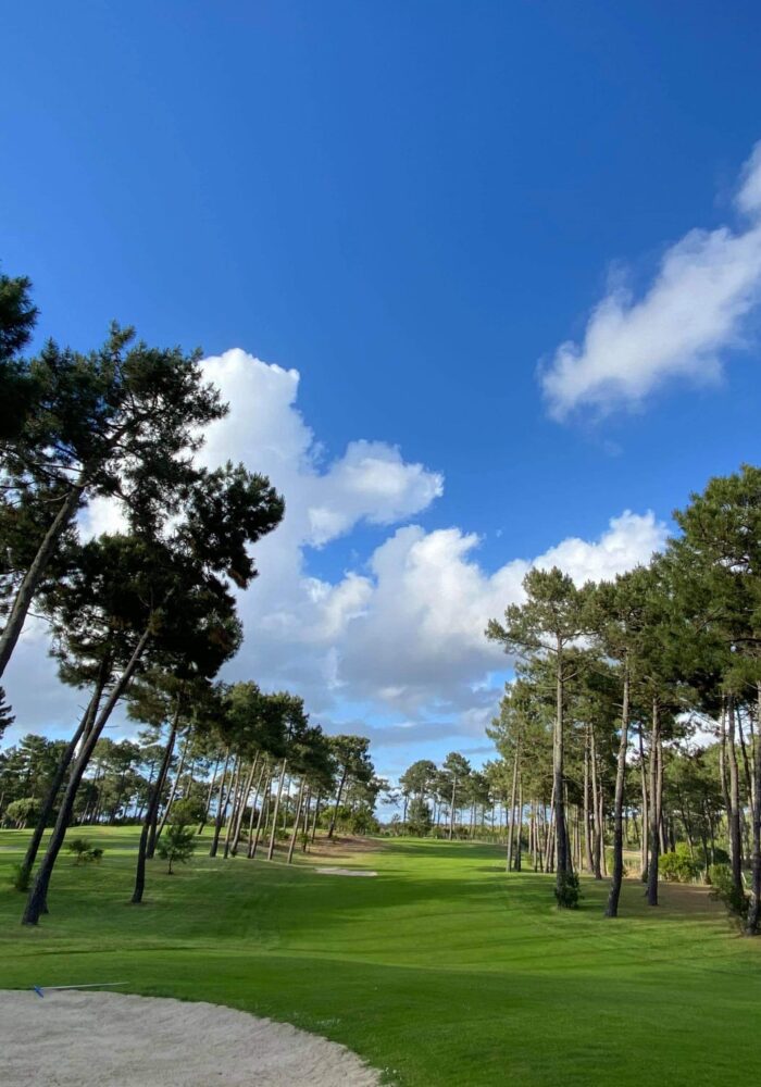 WhatsApp Image 2026-01-09 at 16.48.38